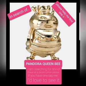 DO NOT BUY - READ- IM SEARCHING FOR THESE 4 Pandora charms